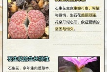 以一颗石生花的繁殖奇迹（探索石生花的繁殖技巧及关键要点）