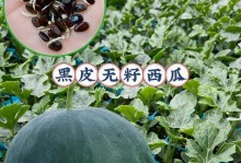 西瓜种子的来龙去脉（探究西瓜种子的获取和利用）
