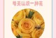 黄玫瑰花的养护技巧（如何养护黄玫瑰花，让其花期更长）