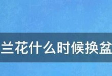 白兰花剪枝后能否成功扦插？（探究白兰花剪枝扦插的可行性及技巧）