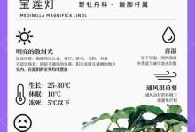 宝莲灯花花败后的修剪技巧（打造美丽庭院的秘密武器-宝莲灯花花的修剪技巧）