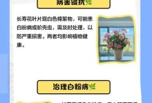 花白虫子病的治疗方法（了解、预防与应对）