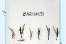 白牡丹养殖技巧（如何避免白牡丹长杆生长，打造矮而美的花朵）