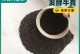 蓝莓肥料种类与使用技巧（选择最适合的肥料，打造高产优质的蓝莓）