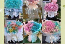 满天星的花语与意义（探寻满天星的神秘面纱，了解它的美丽花语）