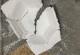 墨兰植物换土周期及换土方法（了解墨兰的土壤需求以及正确的换土步骤）