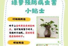 绿萝养护指南（掌握关键养护要点，让绿萝常青不衰）