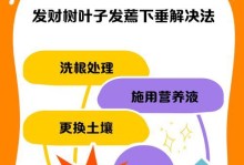 发财树树根软了怎么救？（教你有效拯救发财树根部软化的方法）