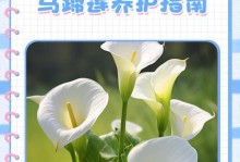 马蹄莲花期（解读马蹄莲开花的规律，让你随时迎接花海的到来）