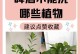 啤酒花种植条件与适合地区气候分析