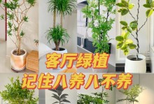 室内种植藿香的技巧与养护（打造清新室内环境，享受藿香的恩赐）