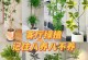 室内种植藿香的技巧与养护（打造清新室内环境，享受藿香的恩赐）