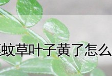 驱蚊草的种植与养护技巧（种植栽培时间、方法及注意事项）