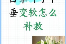 树叶的保湿小妙招（如何防止树叶过度干燥）