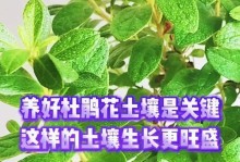 杜鹃花（了解杜鹃花的品种与栽培技巧）