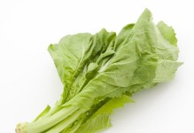 芥菜是什么样子的？（探究芥菜的生长情况和特征）
