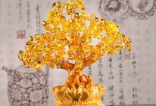 水晶发财树的树干组合方式对财富的影响（探究不同树干组合方式对水晶发财树的财富效应）