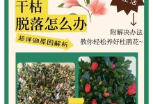 正确浇水方法让你的杜鹃花开得更美（杜鹃浇水时间及正确方法/）