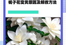 秋天叶子变黄的原因及处理方法（栀子花叶子变黄是何原因？如何处理？）