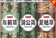 以水钱草怎么吃（探索健康饮食的新趋势）