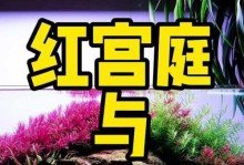 绿宫廷水草养殖全攻略（方法简单易行，让你拥有一片生机勃勃的水景）
