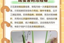 草兰花的养殖方法与注意事项（打造美丽家园，从草兰花开始）