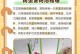 草兰花的养殖方法与注意事项（打造美丽家园，从草兰花开始）