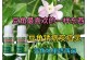 如何有效处理植物长锈斑问题（探索有效的防治方法，让您的植物重获生机）