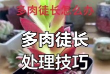徒长后如何处理（避免徒长的关键策略及应对措施）