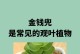 金钱兜叶子有虫子怎么办？（保护你的金钱兜免受虫害侵袭）