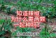 辣椒授粉时间与方式方法详解（掌握授粉技巧提高辣椒产量）