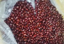 红豆的生长环境与特点（探秘红豆生长的地方及其优势）