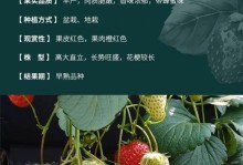 草莓品种全解析（草莓品种分类及特点）