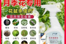 如何应对月季花长白色虫的问题（从源头预防，有效应对，让月季花远离白色虫）