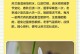 冬天养吊兰的技巧大揭秘（合理掌握浇水频率，让吊兰健康过冬）