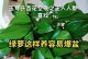 绿萝养护指南（打造健康绿萝的六大关键要素）