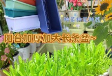 长条盆适合种什么花？（选对花种，打造最美庭院）