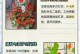 小莲花养护指南（了解养护小莲花的关键，让其健康绽放）