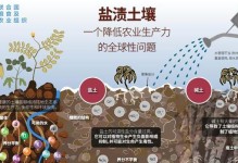 大疣朱紫玉的种植技巧（掌握配土方法打造健康生长环境）