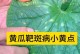 黄瓜黄叶病的预防与治疗（原因分析、症状识别、治疗方法详解）