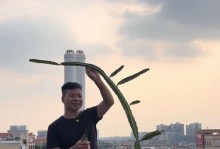 火龙果树的养殖方法（打造丰硕的火龙果果园）