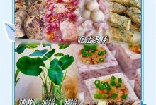 芋头花种植方法详解（一步步教你如何成功种植芋头花）