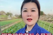如何解决蛞蝓吃叶子问题（保护植物，阻止蛞蝓吞食）