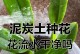 无土种植（不依赖泥土，轻松打造美丽花园）