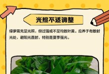 绿萝叶子发黄的原因与解决方法（绿萝养护秘籍，打造鲜绿健康的绿萝之家）