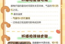 腊梅不生根的原因及处理方法（探究腊梅不生根的原因以及如何解决）