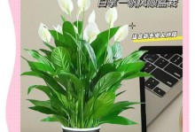 白鹤芋叶子误吞应急处理方法（以白鹤芋叶子误吞后的症状及应对措施）