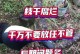 以树烂根了怎么处理？（重建健康根基，实现全面发展）