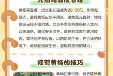 黄杨种植技巧与浇水方法（了解黄杨的特点，合理浇水才能促进生长）