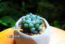 揭秘玉露爆窗事件